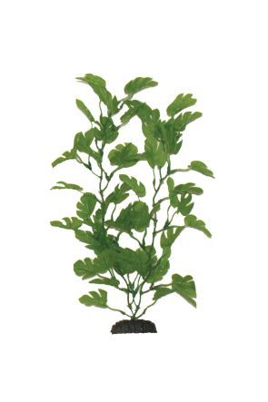 Hugo Kamishi Plant Green Anubias 40cm (1350926)