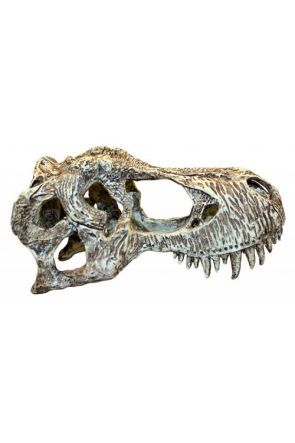 Komodo T Rex Skull (Small)