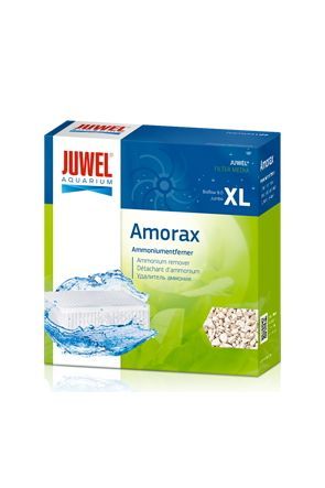 Juwel Amorax (Size: L)