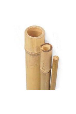 Bamboo Pole (1m x 5cm)