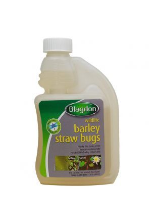Blagdon Barley Straw Bugs