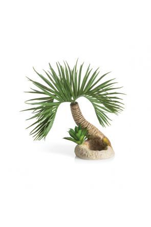 biOrb Palm Tree Seychelles