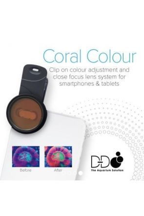 DD Coral Colour Lens for Phones