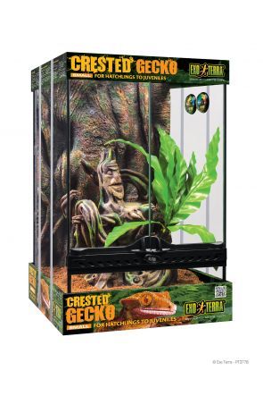 Exo Terra Crested Gecko Kit Small (PT3778)