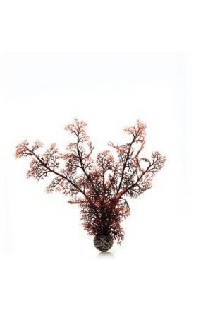 Reef One Crimson Sea Fan Plant (Medium) 