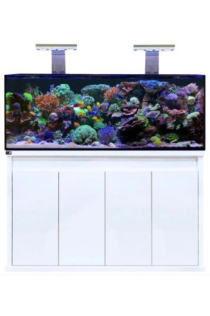 D-D Reef-Pro 1500s - Ultra Gloss White