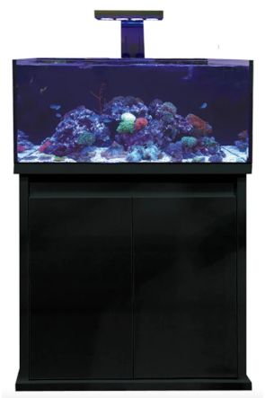 D-D Reef-Pro 900 - Ultra Gloss Black