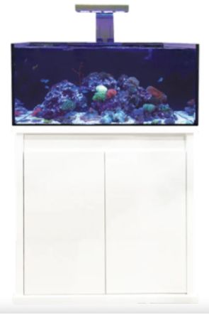 D-D Reef-Pro 900 - Ultra Gloss White