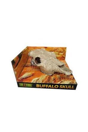 Exo Terra Buffalo Skull PT2857