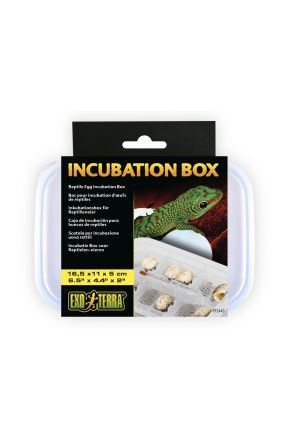 Exo Terra Incubation Box