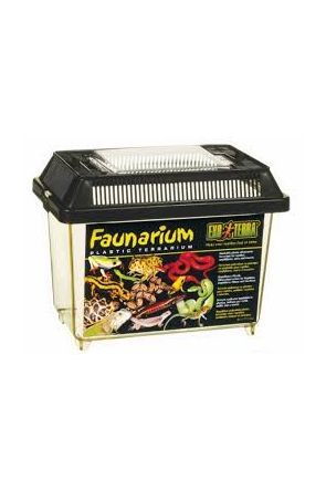 37cm x 22cm x 24cm Plastic Faunarium & Kit for Spiders