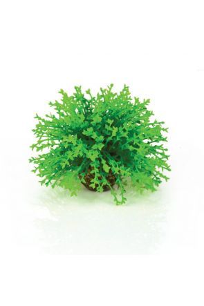 BiOrb Green Topiary Ball