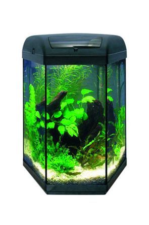 Aquael Hex 60 Tropical Aquarium (60 litres)