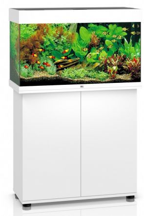 Juwel Rio 125 Aquarium & Cabinet White