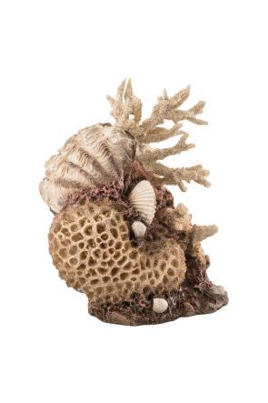 biOrb coral-shells ornament natural