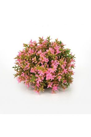 BiOrb Pink Topiary Ball