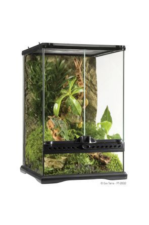 Exo Terra Glass Terrarium Mini/Tall - 30cm x 30cm x 45cm (PT2602)