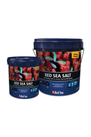 Red Sea Salt - 7kg