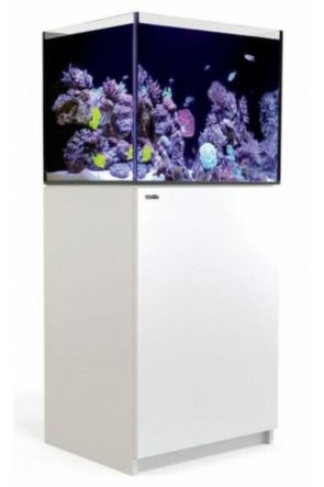 Red Sea Reefer G2 170 - White