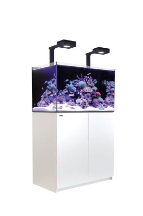 Red Sea Reefer G2 250 Deluxe - White