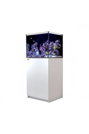 Red Sea Reefer 170 White