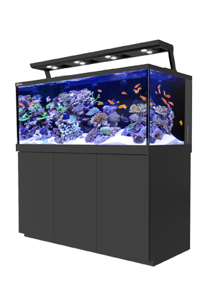 Red Sea Max S-650 Aquarium Black