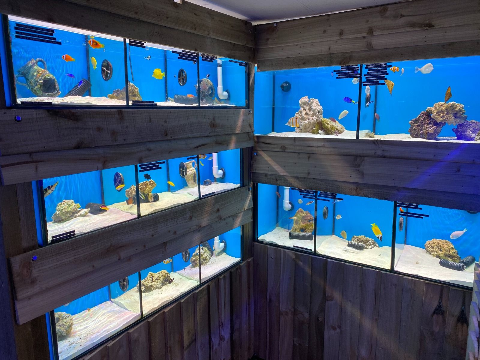 Marine Room - Fish