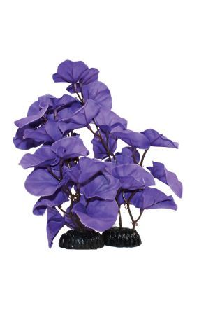 Hugo Kamishi Silk Plant Blue Lily 50cm (1350818)