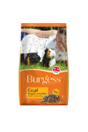 Burgess Excell Tasty Nuggets Guinea Pigs - 2kg