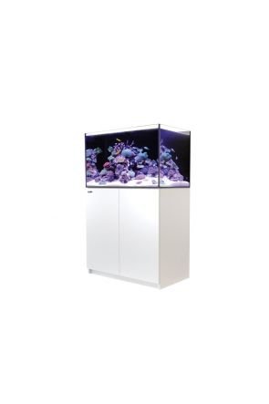 Red Sea Reefer G2 250 - White