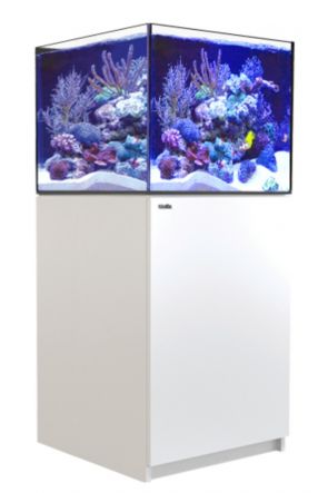 Red Sea Reefer G2 200 - White