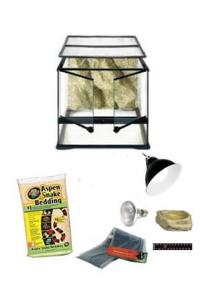 45cm x 45cm x 45cm Glass Vivarium & Kit for Snakes