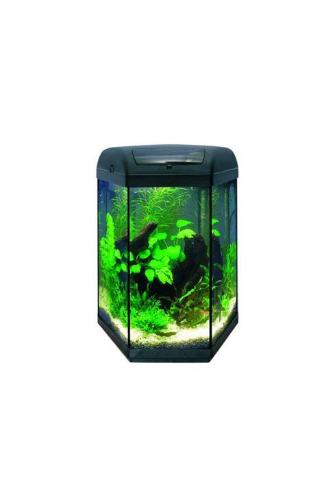 Aquael Uplift Sponge Hex 60/ Pf Fish Tank 